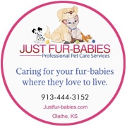 Just Fur-Babies Cat Sitting, Kansas City.