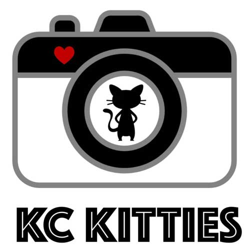 Kansas City pet photographer