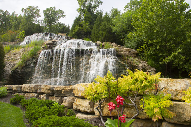 Olathe's Top-Rated In-Home Cat Sitting & Cat Care Services