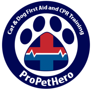 pet first aid course for cat and dog owners