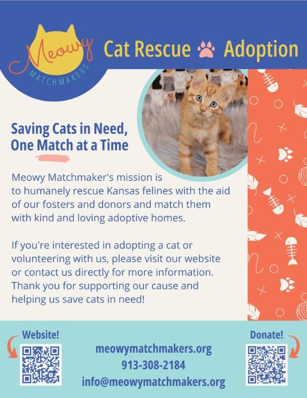 Meowy Matchmakers, KC Cat Rescue & Adoption flyer.