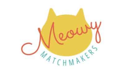 Tiny Paws, Big Needs: Kitten Season is Here, Navigating Feral Kitten Season!