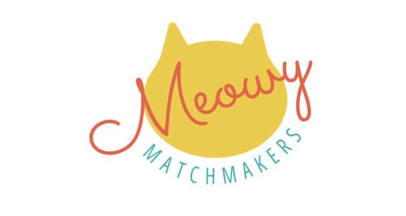 Tiny Paws, Big Needs: Kitten Season is Here, Navigating Feral Kitten Season!