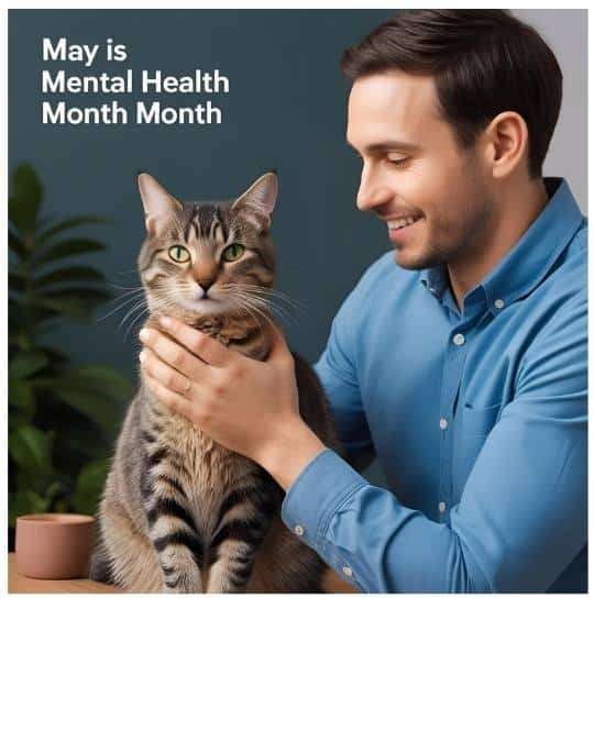 The Purr-fect Prescription: How Cats Enhance Your Mental Well-being