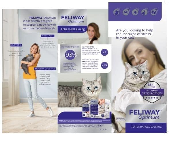 feliway calming for cats.
