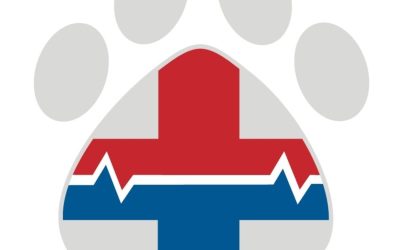 Pet First Aid: Be Your Pet’s Hero! (Especially During Pet First Aid Awareness Month)