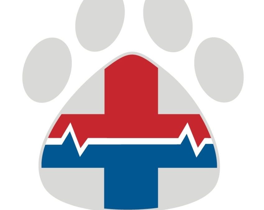 Pet First Aid: Be Your Pet’s Hero! (Especially During Pet First Aid Awareness Month)