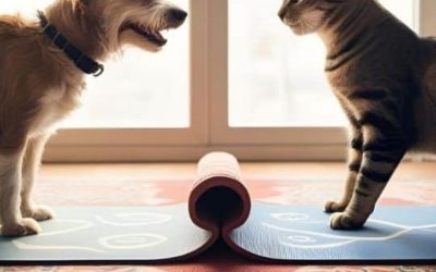 Sniffing Out Calm: Pheromones for Your Furry Friends