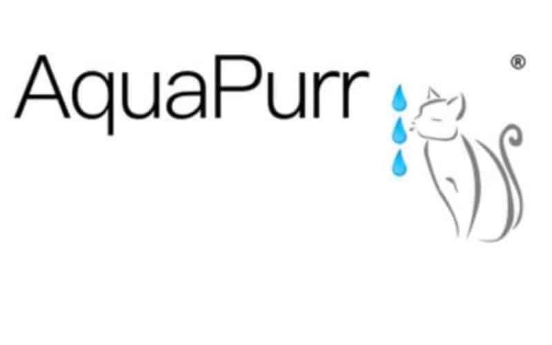 🎁 The Ultimate 2025 Cat Christmas Gift Guide: A Gift That Make Your Life Easier!