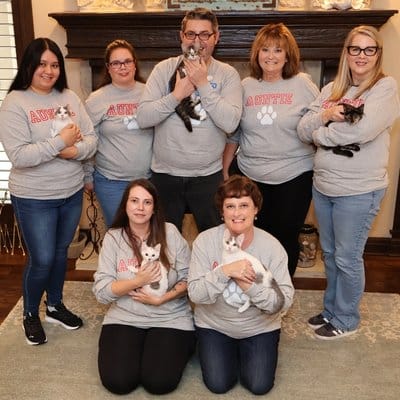 KC cat sitters at JustFur-Babies.