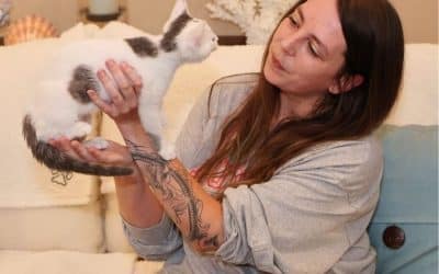 Raising the Standard of Feline Care: Why Choosing a Professional Cat Sitter is the Ultimate Act of Love 🧡